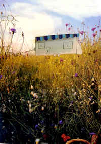 Cliquer pour agrandir