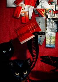 Cliquer pour agrandir