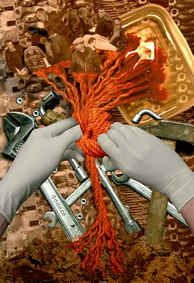 Cliquer pour agrandir